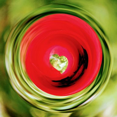 The heart of the poppy