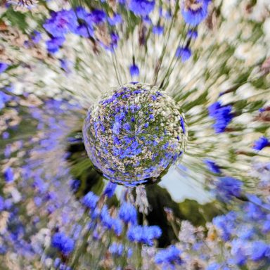 Abstract cornflower Abstract swirl of colourful flowers with blue and white hues. The cornflower droplet.